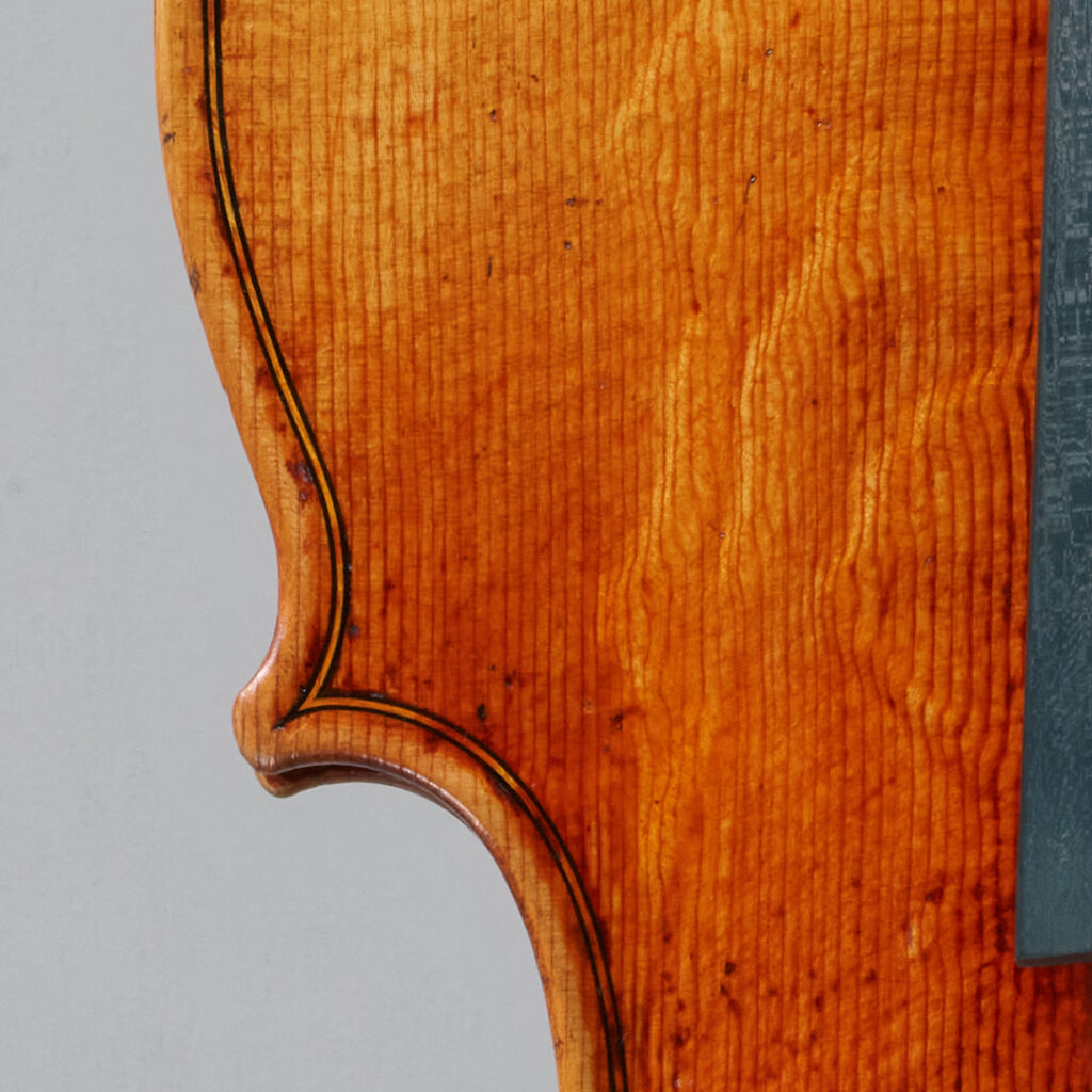 바이올린 나뭇결