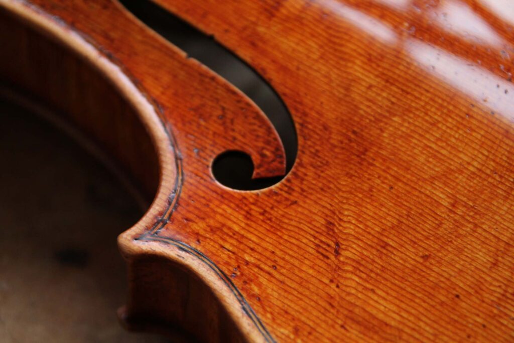 바이올린 나뭇결