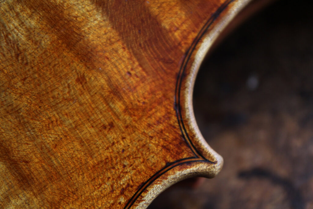 바이올린 나무 마크