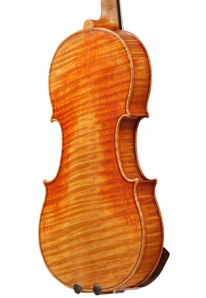 바이올린 뒷면